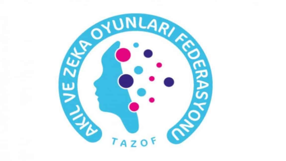 Türkiye Akıl ve Zeka Oyunları Turnuvası